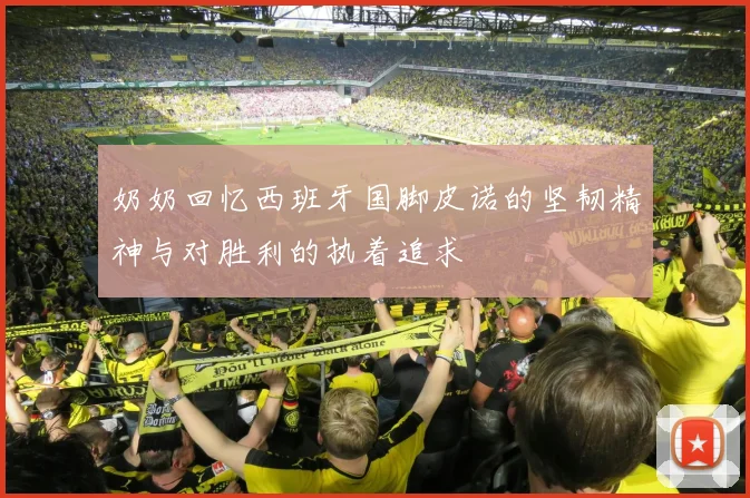 奶奶回忆西班牙国脚皮诺的坚韧精神与对胜利的执着追求