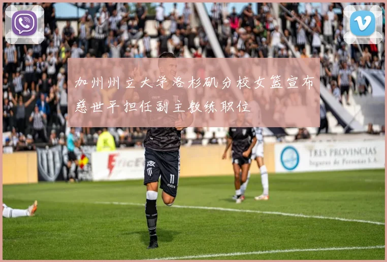 加州州立大学洛杉矶分校女篮宣布慈世平担任副主教练职位